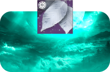 Solstice Silver Leaves Farm